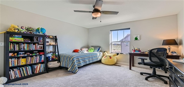 2419 Flats Street Erie Colorado, 80516 | End-Unit Home