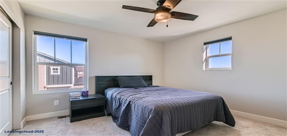 2419 Flats Street Erie Colorado, 80516 | End-Unit Home