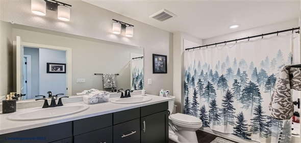 2419 Flats Street Erie Colorado, 80516 | End-Unit Home