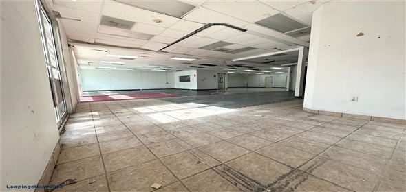 6161 S Miami Lakes Dr E # 14B, 15A, 15B, 16A & 16B Miami Lakes Florida, 33014 | Exceptional Commercial Opportunity in the Heart of Miami Lakes