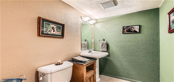 1793 E 164th Place Thornton Colorado, 80602 | Beautiful Home