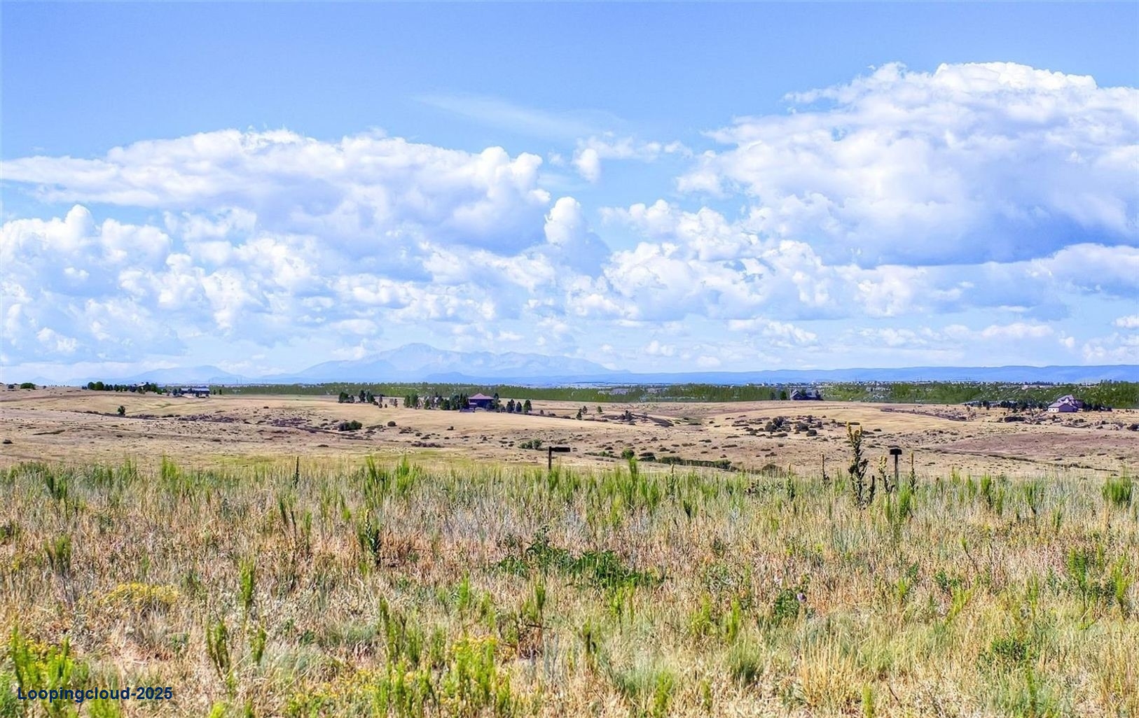 Exclusive Land For sale