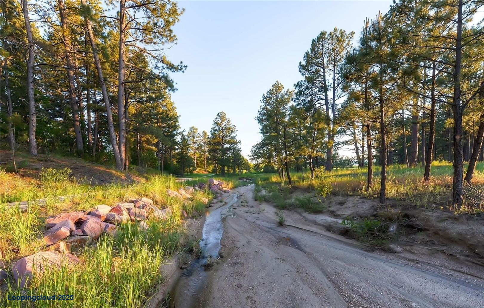 Exclusive Land For sale