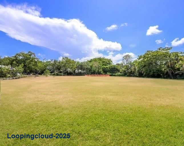 Retail Property for Sale in Miami Florida 33142