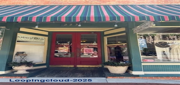223 North Kentucky Avenue Lakeland Florida, 33801 | Retail Space for Lease