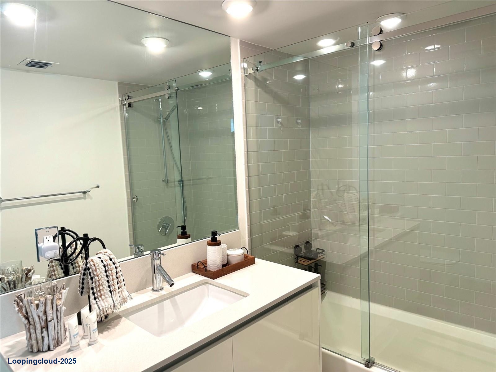 Luxurious and Modern Home