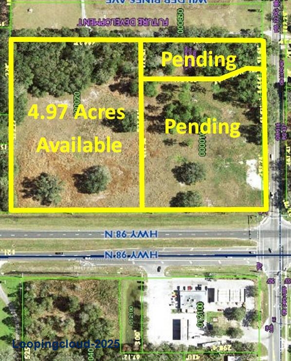 Land for Sale in with NAC (Neighborhood Activity Center) land use. Permitted uses include Florida 33809
