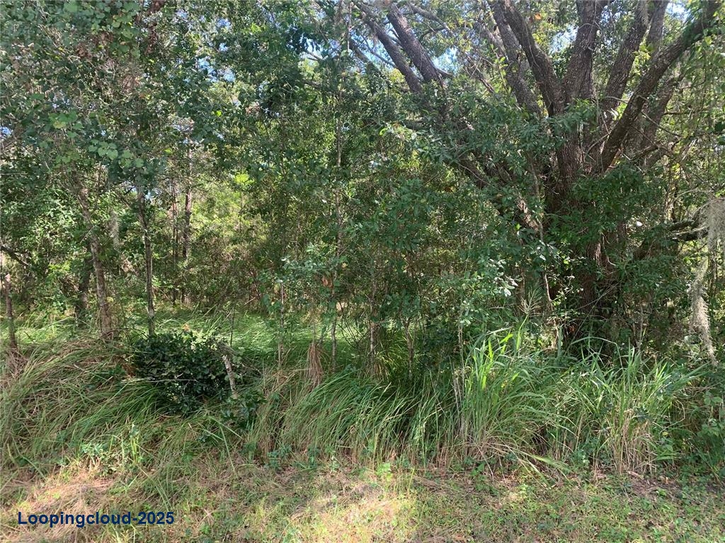 Land for Sale in LAKE WALES Florida 33898