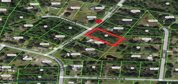0 HAIG STREET, LAKE WALES Lake Wales Florida, 33898 | Agricultural Land
