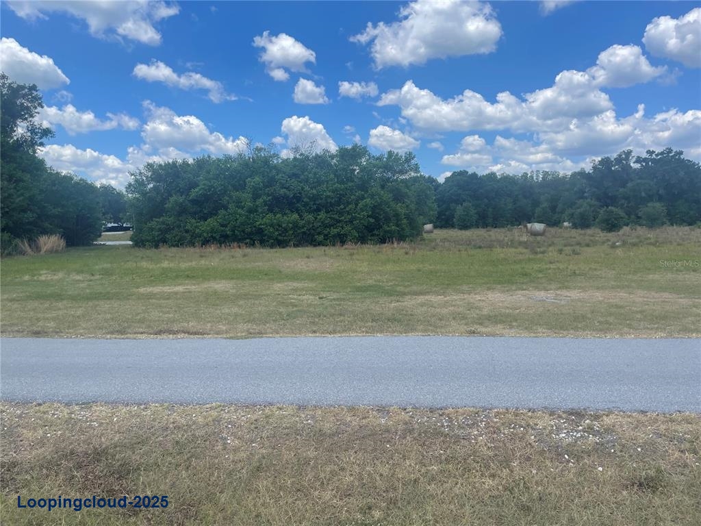 Land for Sale in Lutz Florida 33548