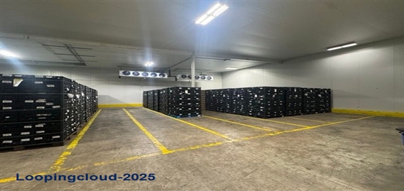 4805 North Expressway 281 Edinburg Texas, 78541 | 4805 North Expressway 281