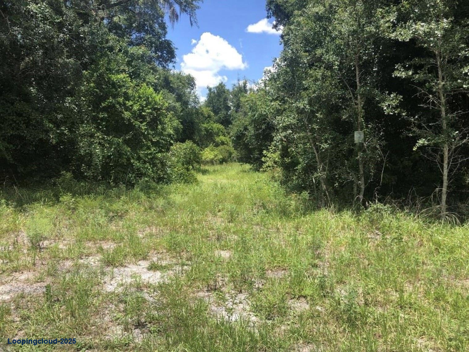 Prime 6.41-Acre Development Opportunity in DeLand