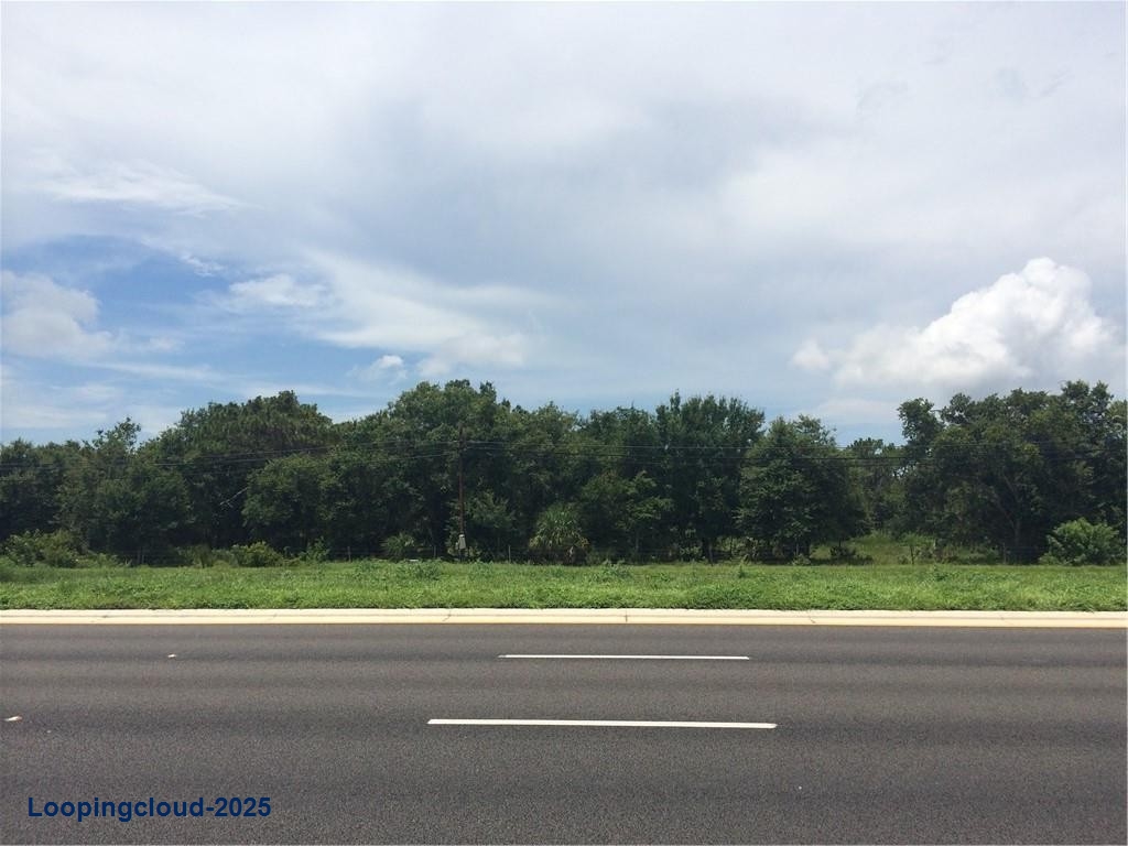 Commercial Property for Sale in RIVERVIEW Florida 33578