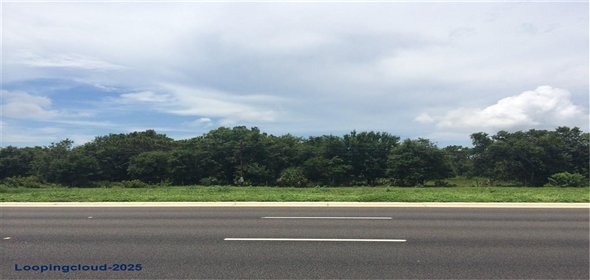 11769 S 301 US HIGHWAY S, RIVERVIEW, Florida 33578 Riverview Florida, 33578 | Prime 8.6-Acre Mixed-Use Property with Highway Frontage and Development Potential