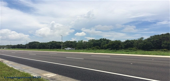 11769 S 301 US HIGHWAY S, RIVERVIEW, Florida 33578 Riverview Florida, 33578 | Prime 8.6-Acre Mixed-Use Property with Highway Frontage and Development Potential