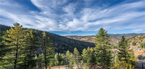 900 Sawmill Creek Road Evergreen Colorado, 80439 | Exclusive Mountain Home