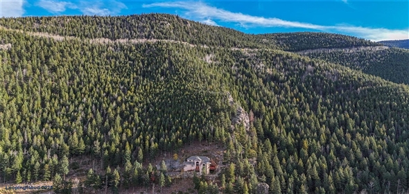 900 Sawmill Creek Road Evergreen Colorado, 80439 | Exclusive Mountain Home