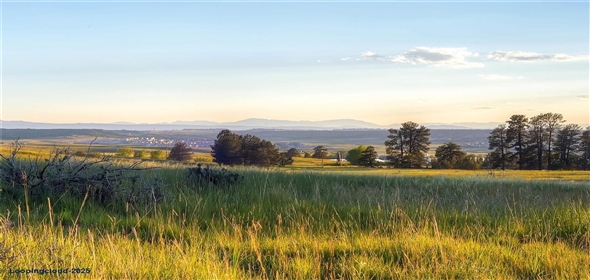 9737 Majestic Oak Drive Parker Colorado, 80134 | Exclusive Brand New Home in Parker, CO