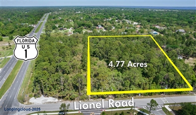 37XX Lionel Road, Mims Florida , 32754