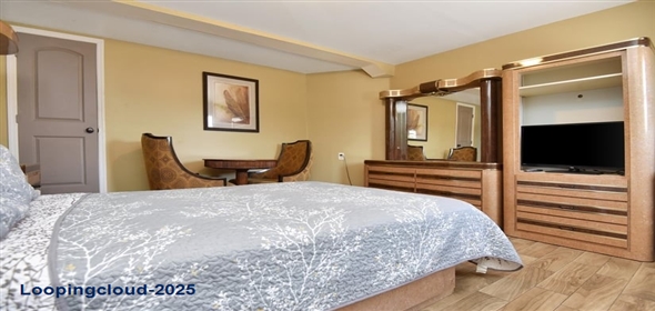 808 S Atlantic Avenue Dayt Bch Sh Florida, 32118 | Atlantic Economy Inn