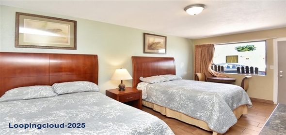 808 S Atlantic Avenue Dayt Bch Sh Florida, 32118 | Atlantic Economy Inn