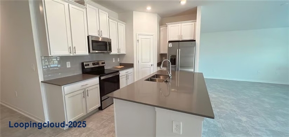 1963 Turtle Dove Lane Kissimmee Florida, 34746 | New charming single family home