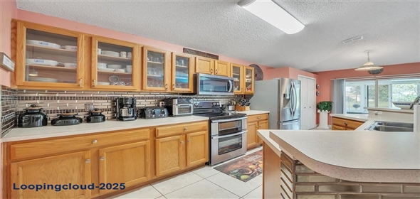 316 Dahoon Holly Drive Daytona Beach Florida, 32117 | Exclusive Home for Sale