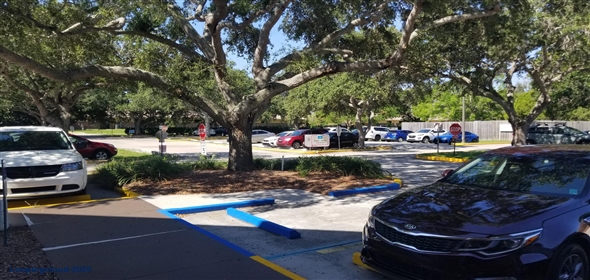 3982 Bee Ridge Road Unit C Sarasota Florida, 34233 | Bee Ridge Medical Center