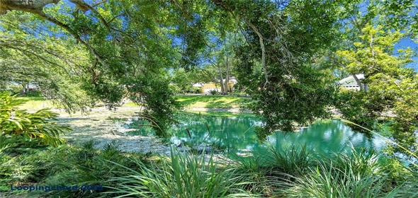 135 TALL TREES COURT, Sarasota Florida, 34232 | Exclusive Home for Sale