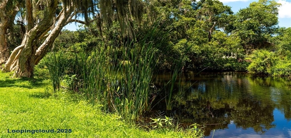 4576 COOPER ROAD Sarasota Florida, 34232 | Beautiful Cozi Home