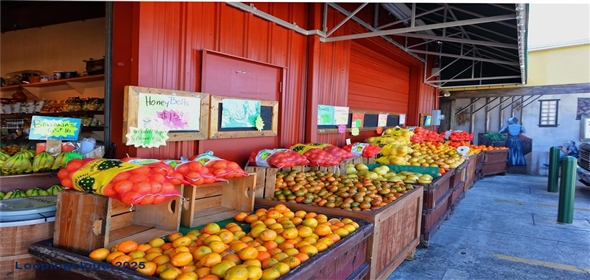 4326 BRACKENWOOD COURT Sarasota Florida, 34232 | Beautiful Home in Sarasota