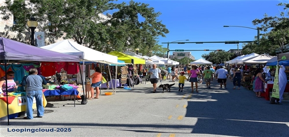 4326 BRACKENWOOD COURT Sarasota Florida, 34232 | Beautiful Home in Sarasota