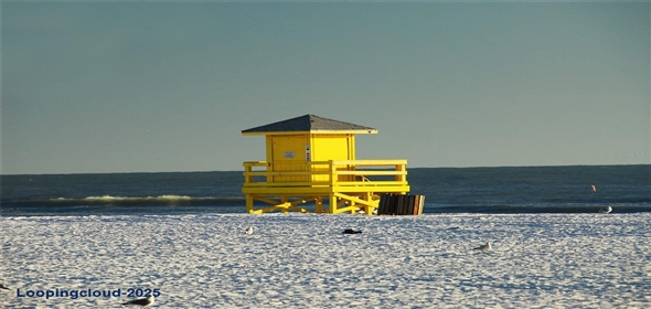 4326 BRACKENWOOD COURT Sarasota Florida, 34232 | Beautiful Home in Sarasota