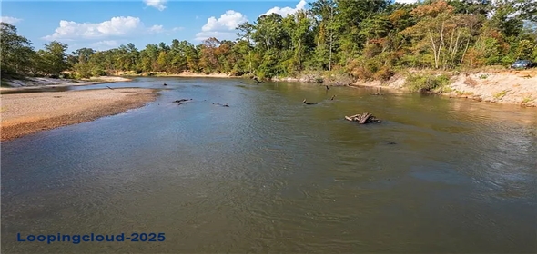 48 The Banks Highway Hwy #16 Franklinton Louisiana, 70438 | 3.56-Acre Riverfront Lot on Bogue Chitto