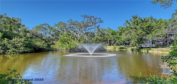 4917 LEATHA LANE Sarasota Florida, 34232 | Exclusive Family Home