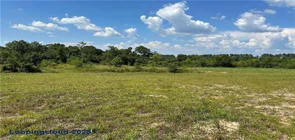 25 The Banks Dr #16, Franklinton Louisiana, 70438 | Lakefront Lot with River Access