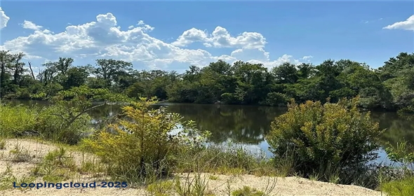 25 The Banks Dr #16, Franklinton Louisiana, 70438 | Lakefront Lot with River Access