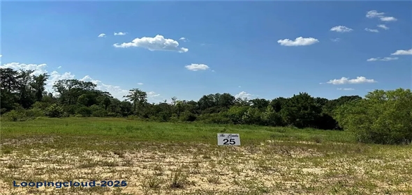 25 The Banks Dr #16, Franklinton Louisiana, 70438 | Lakefront Lot with River Access