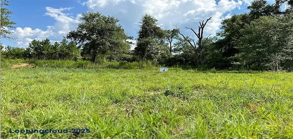 LOT 4 River Rd, Franklinton Louisiana, 70438 | 1.56-Acre Lot Near Covington with River Access