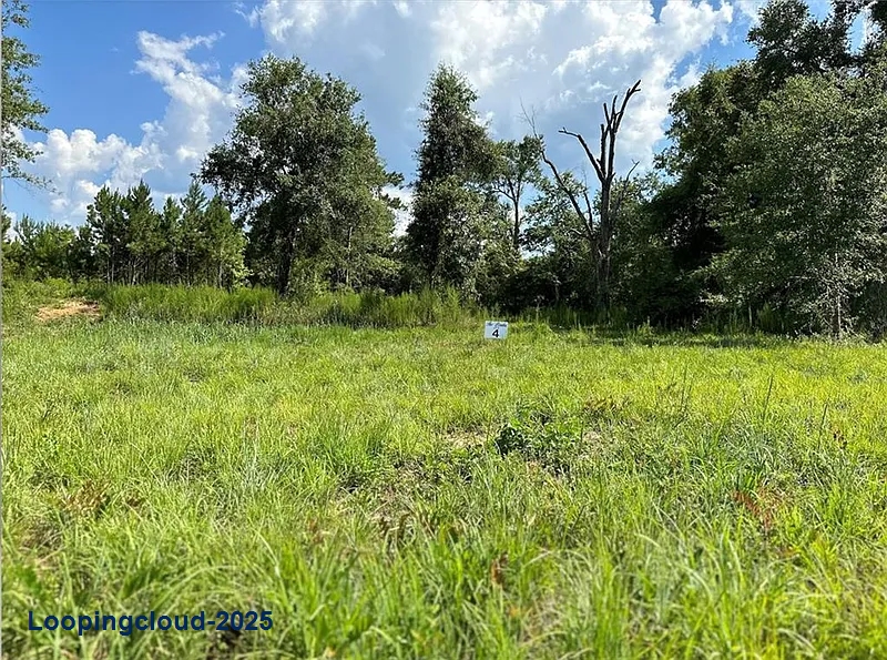 1.56-Acre Lot Near Covington with River Access