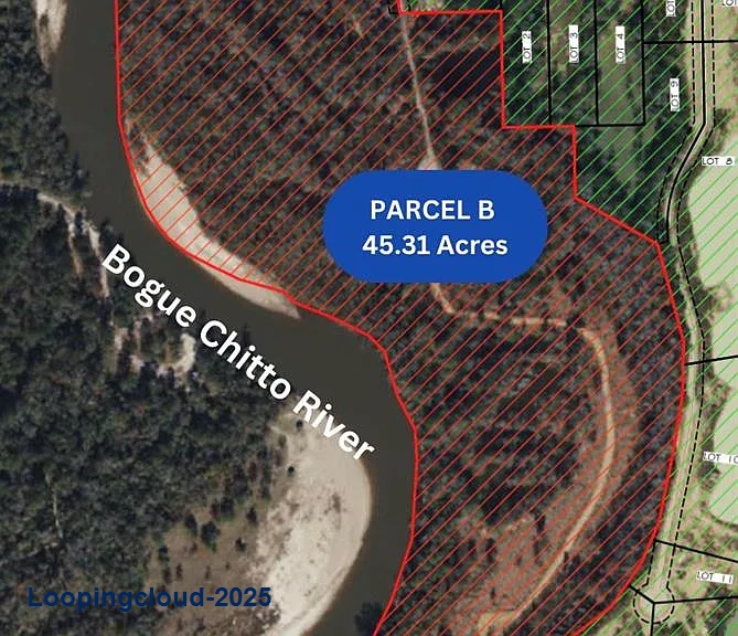 Premier 45.3-Acre Riverfront Parcel on Bogue Chitto – Ideal for Development