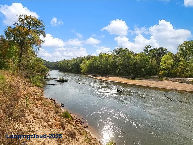 22.1 Acres with Over 2,200 Ft of River Frontage on Bogue Chitto – Parcel D