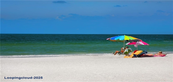 2538 FIREFLAG LANE Sarasota Florida, 34232 | Beautiful Home