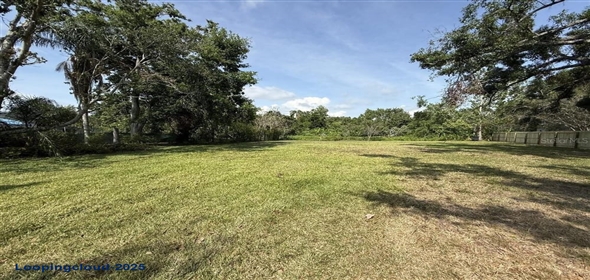 116 LOQUAT LANE Sarasota Florida, 34232 | Exclusive Vacant Land