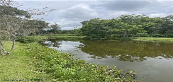 116 LOQUAT LANE Sarasota Florida, 34232 | Exclusive Vacant Land