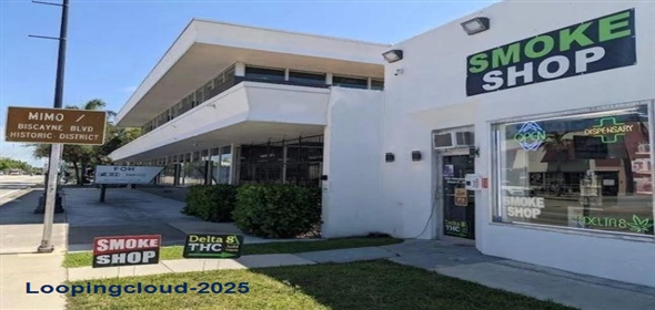 7644 Biscayne Blvd Miami Florida, 33138 | Profitable Turn-Key Smoke & Vape Shop in Prime MiMo District Location