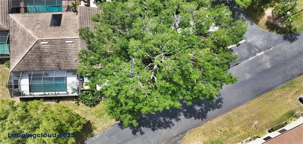 3842 GLEN OAKS MANOR DRIVE Sarasota Florida, 34232 | Beautiful Sarasota Home