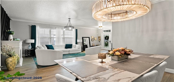 14131 PARADISE TREE DRIVE Orlando Florida, 32828 | Beautiful Property in Orlando