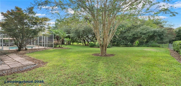 89 PINE FOREST LANE Haines City Florida, 33844 | Stunning Upgraded Pool Home