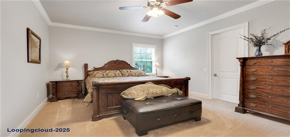 3979 MAMMOTH GROVE ROAD Lake Wales Florida, 33898 | One-of-a-Kind Energy-Efficient Custom Home